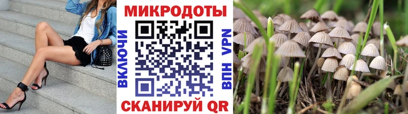 Галлюциногенные грибы ЛСД  где купить наркотик  сайты даркнета какой сайт  Брянск 